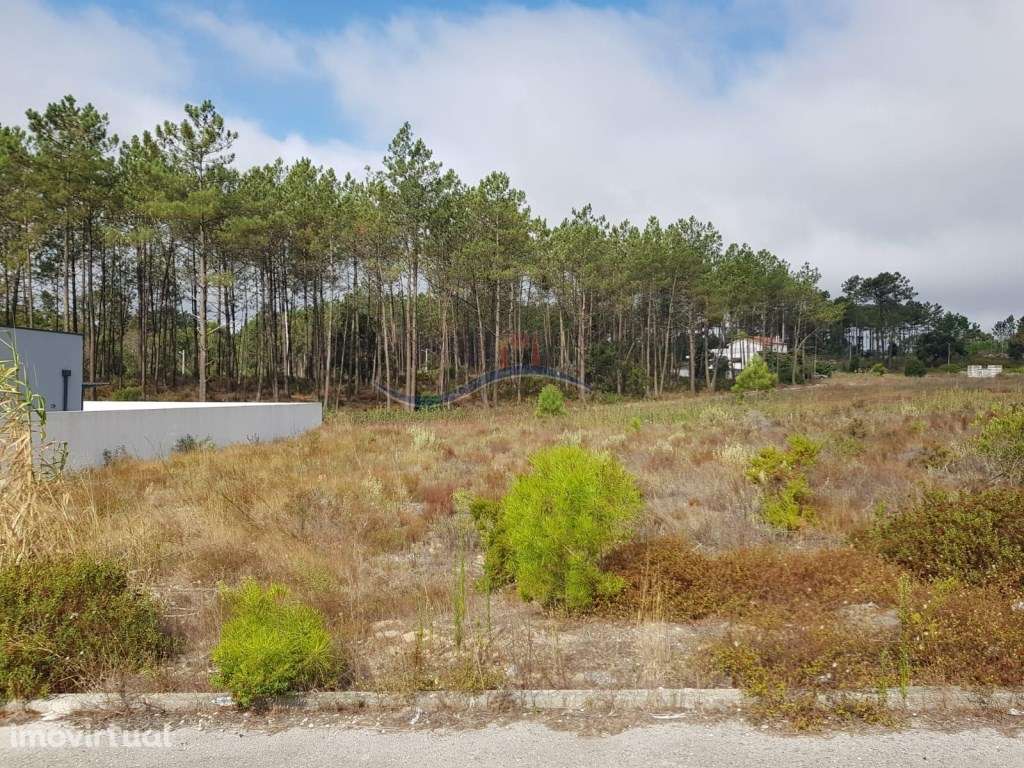 Lote de Terreno - Amor - Grande imagem: 2/13