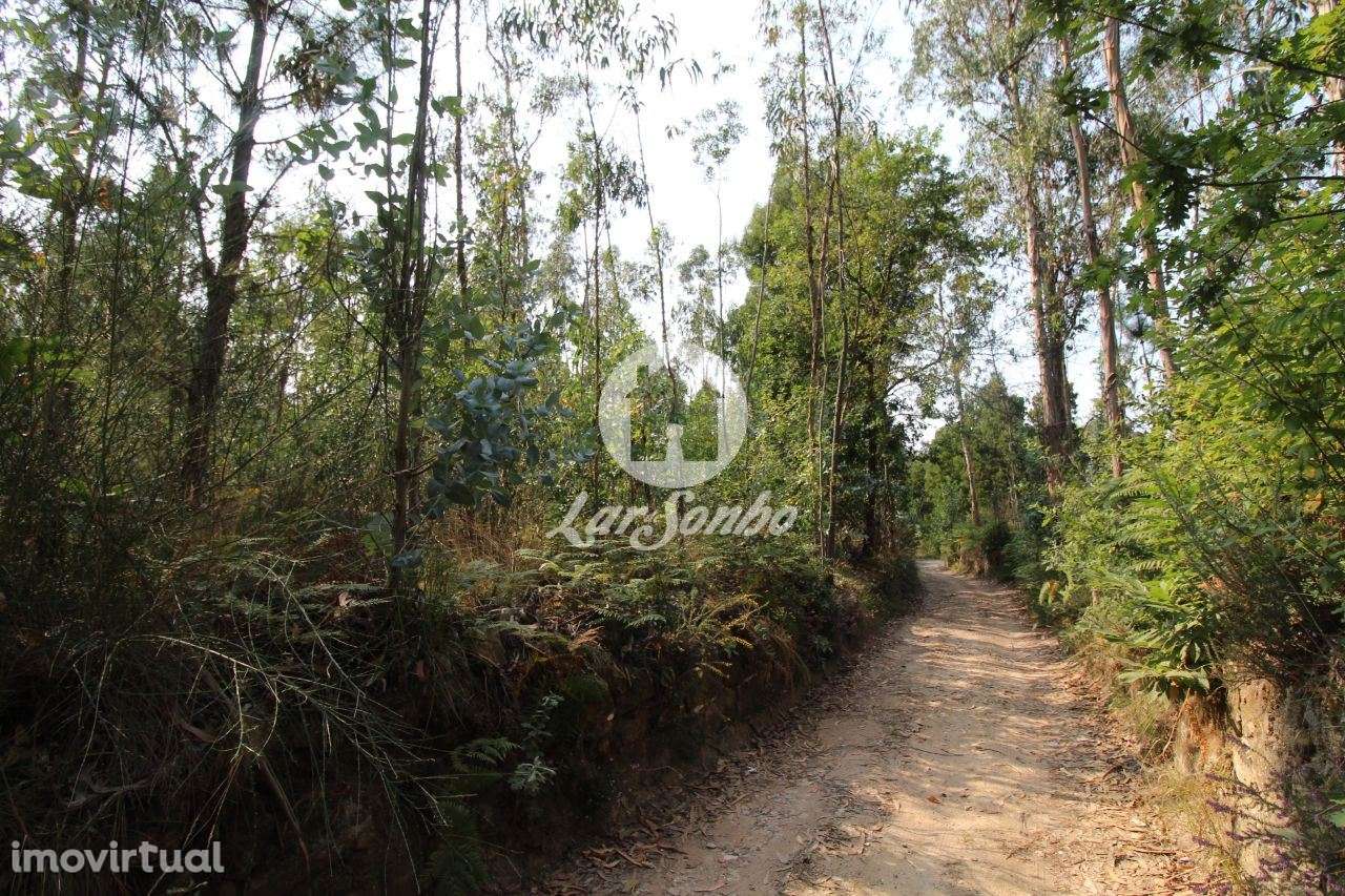 Terreno Florestal com 10.000m2 em Tougues - Vila do Conde - Grande imagem: 5/11