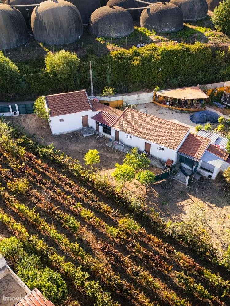 Armazém com Potencial para Moradia no Centro do Cadaval! - Grande imagem: 2/28