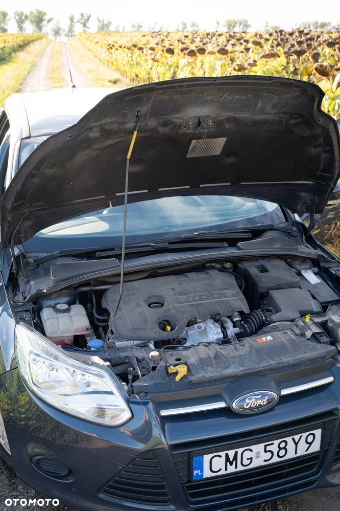 Ford Focus 1.6 TDCi Trend ECOnetic - 21