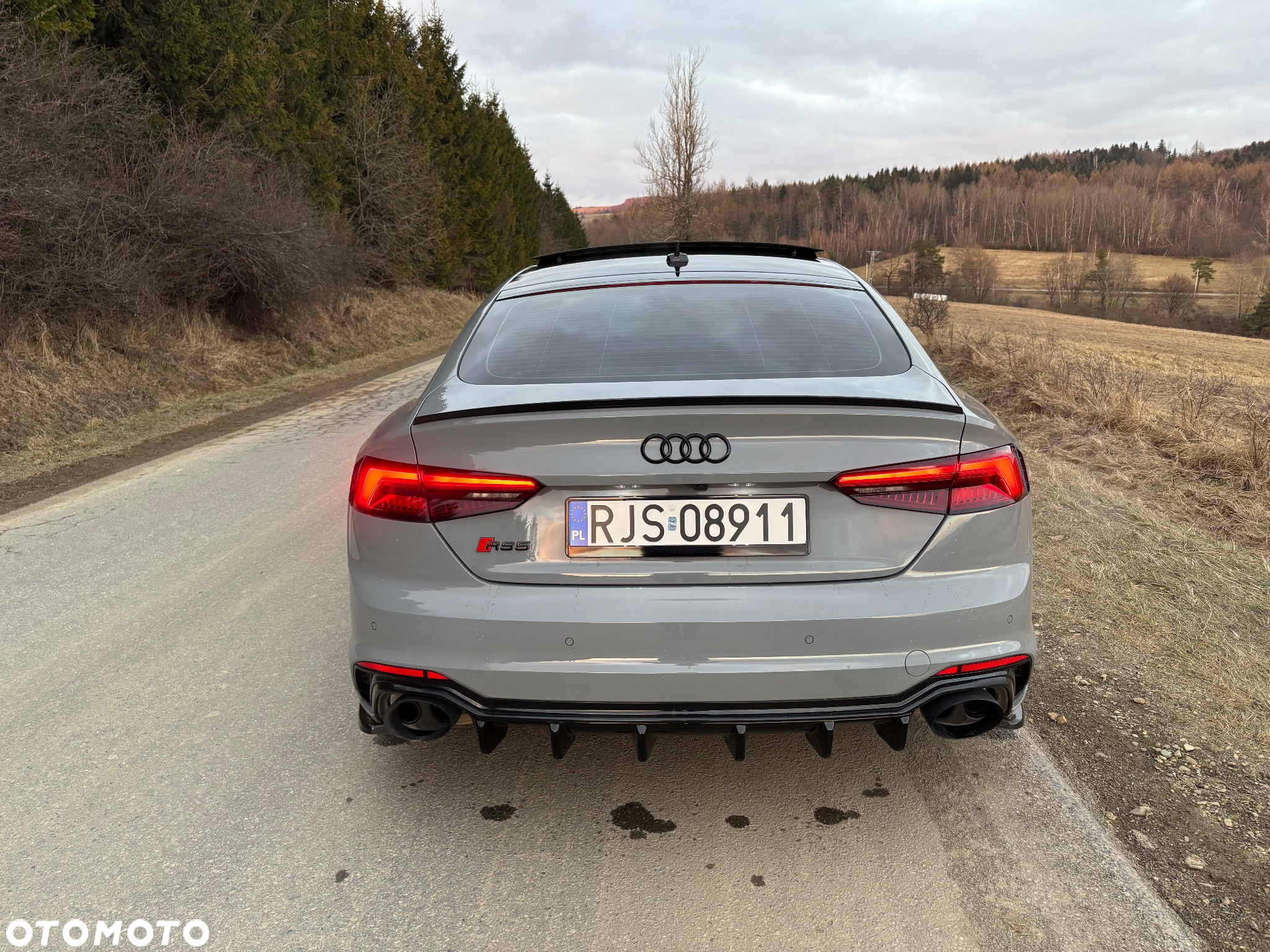 Audi RS5 Sportback 2.9 TFSI quattro tiptronic - 17