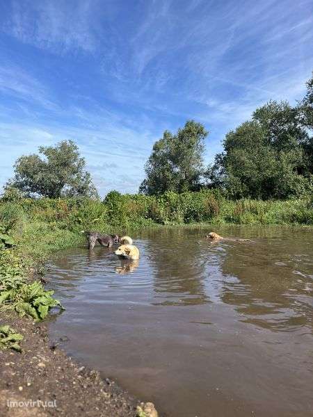 Trespasse terreno 7,000m2 - Grande imagem: 2/6