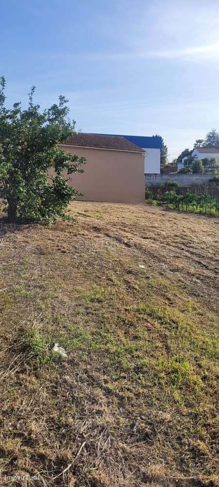 Terreno, 560 m², Juncal - Grande imagem: 3/6