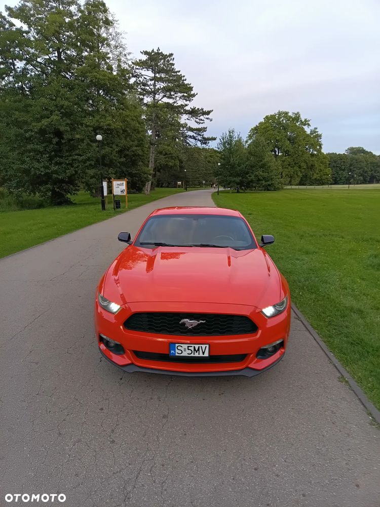 Ford Mustang - 5