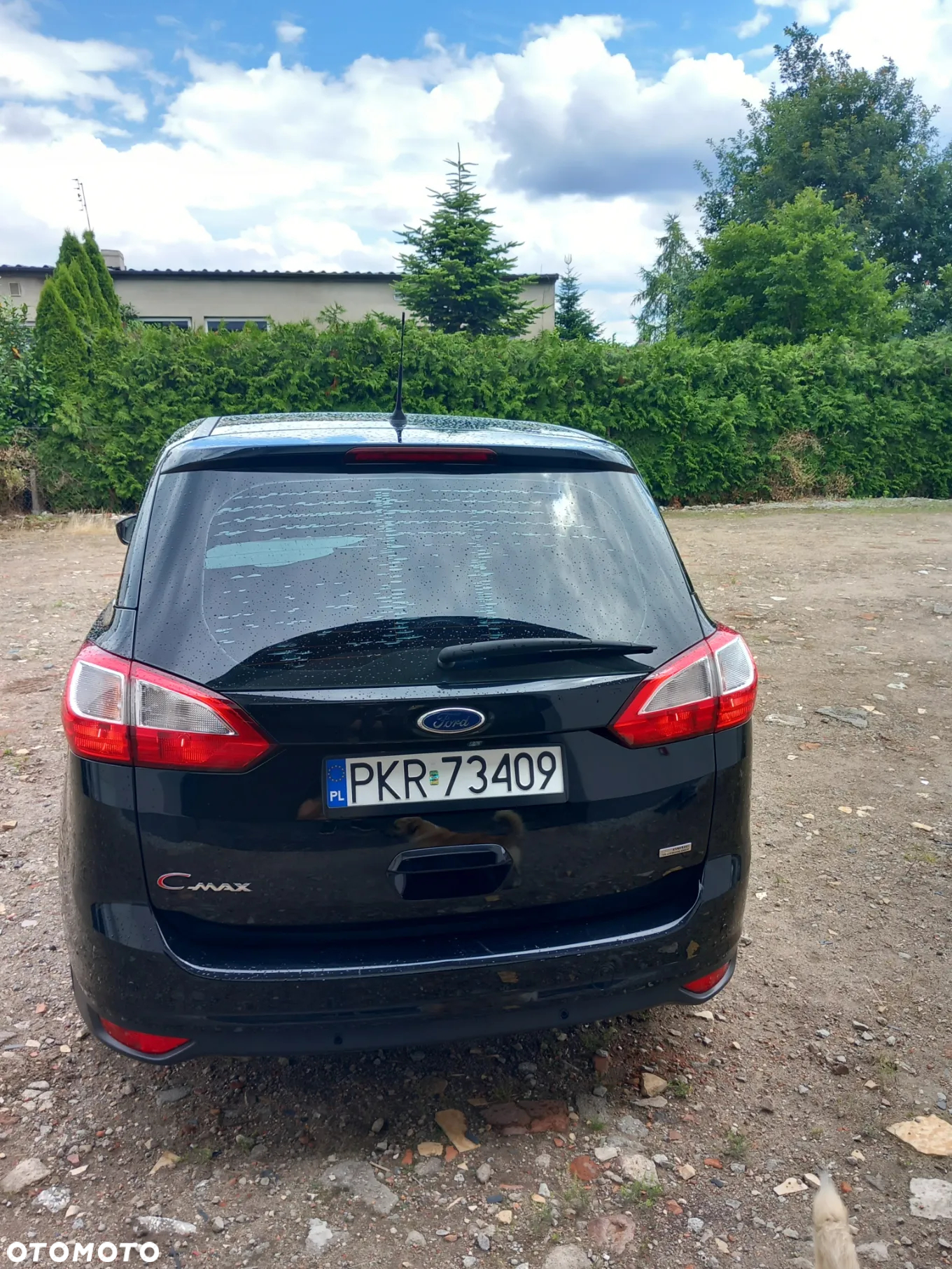 Ford Grand C-MAX - 19