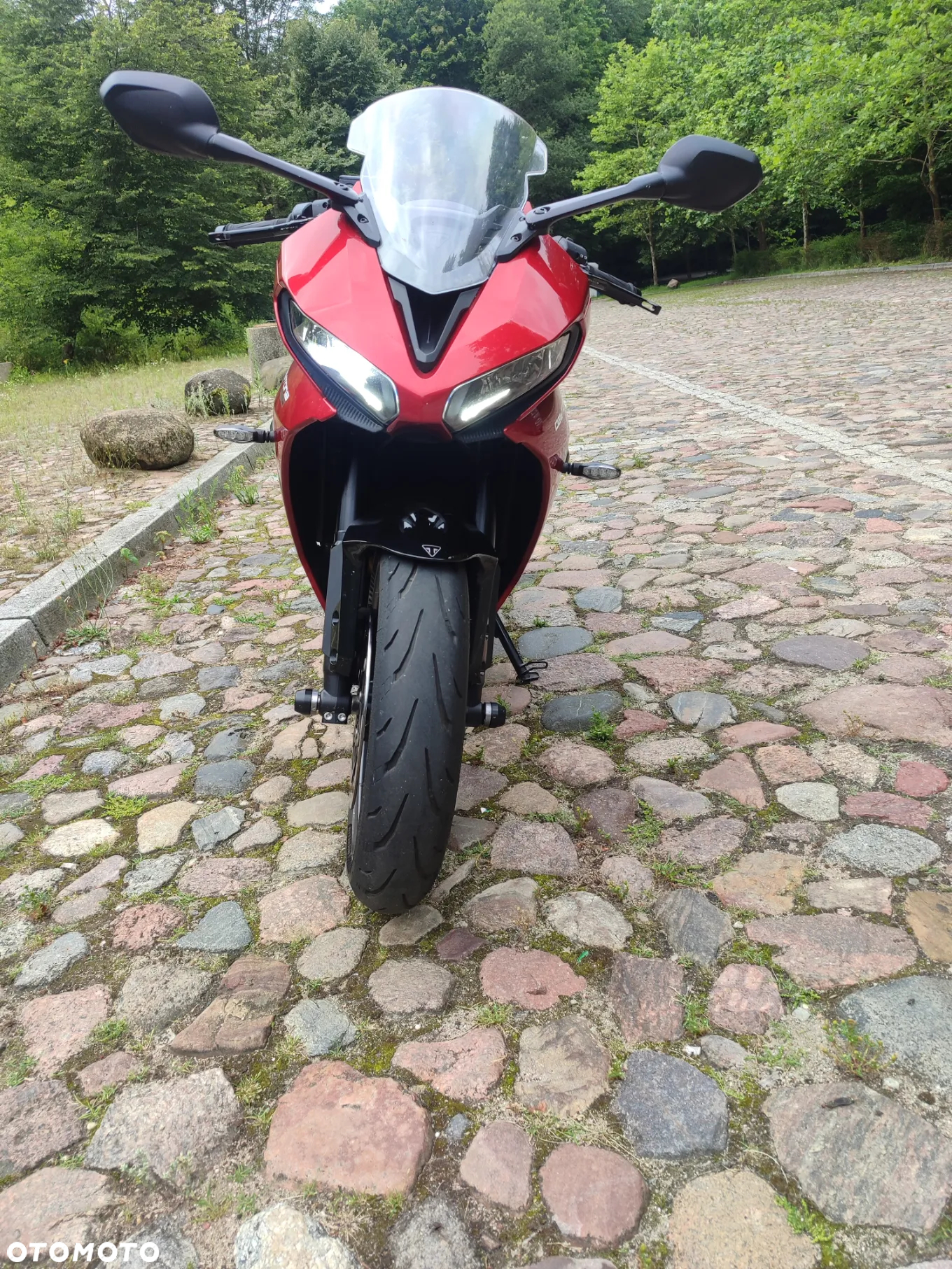 Triumph Daytona - 10