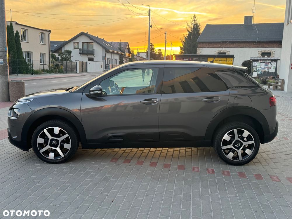 Citroën C4 Cactus 1.2 PureTech Shine S&S - 20