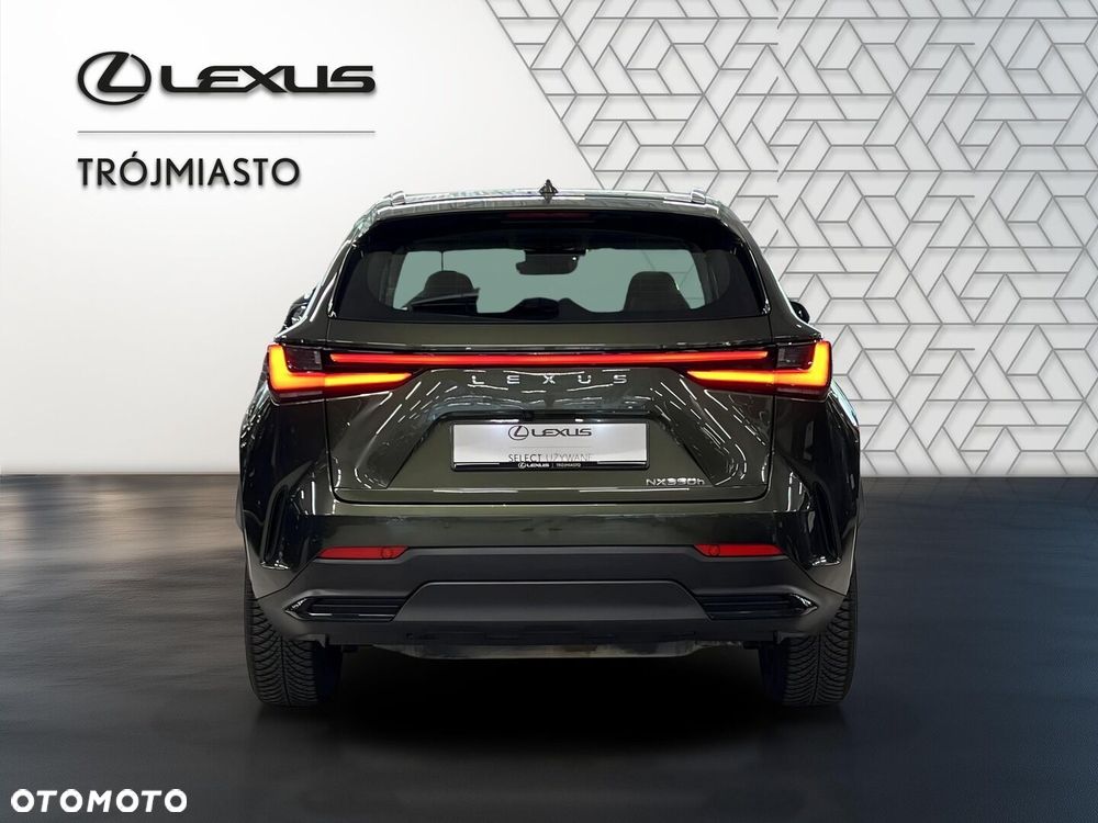 Lexus NX 350h Business AWD - 5