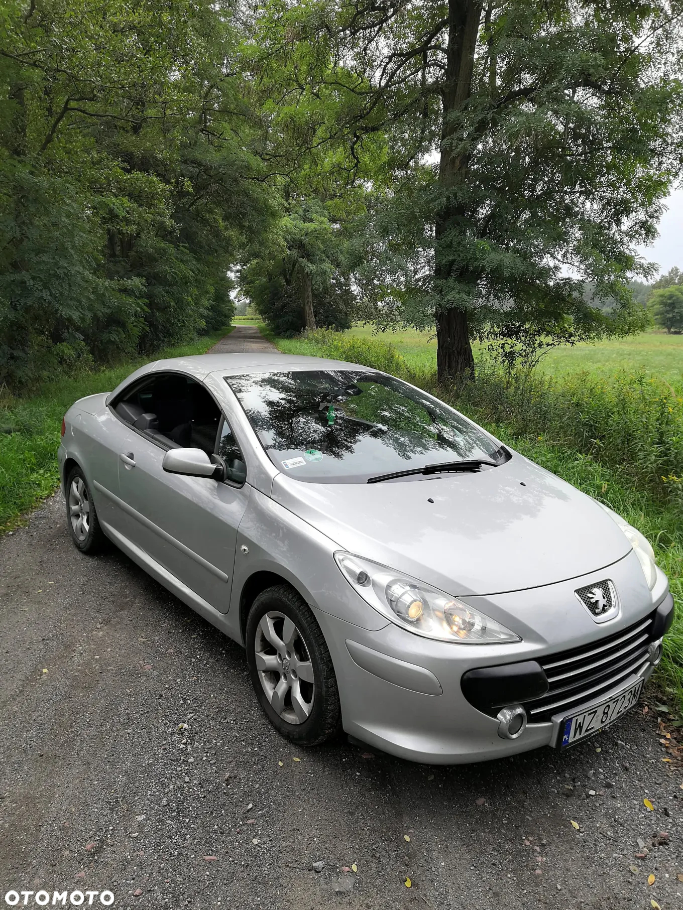 Peugeot 307 CC 2.0 HDi Intense - 3