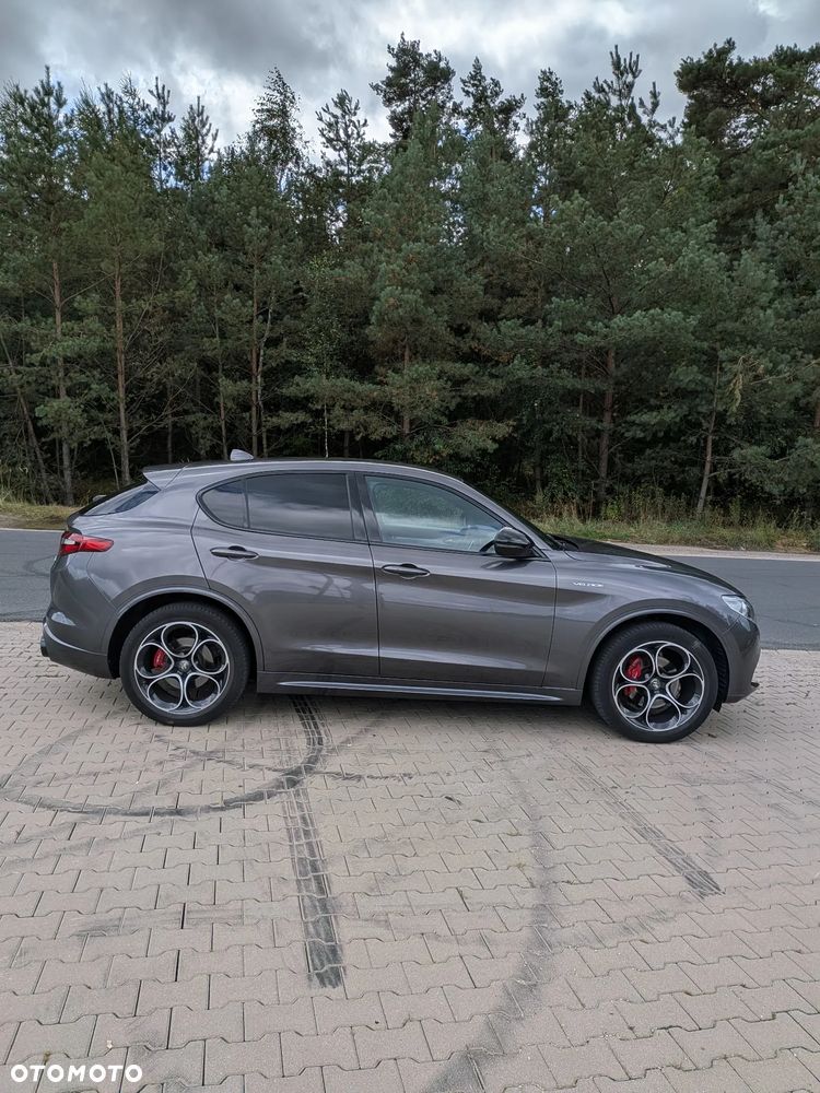 Alfa Romeo Stelvio 2.0 Turbo Veloce Q4 - 1