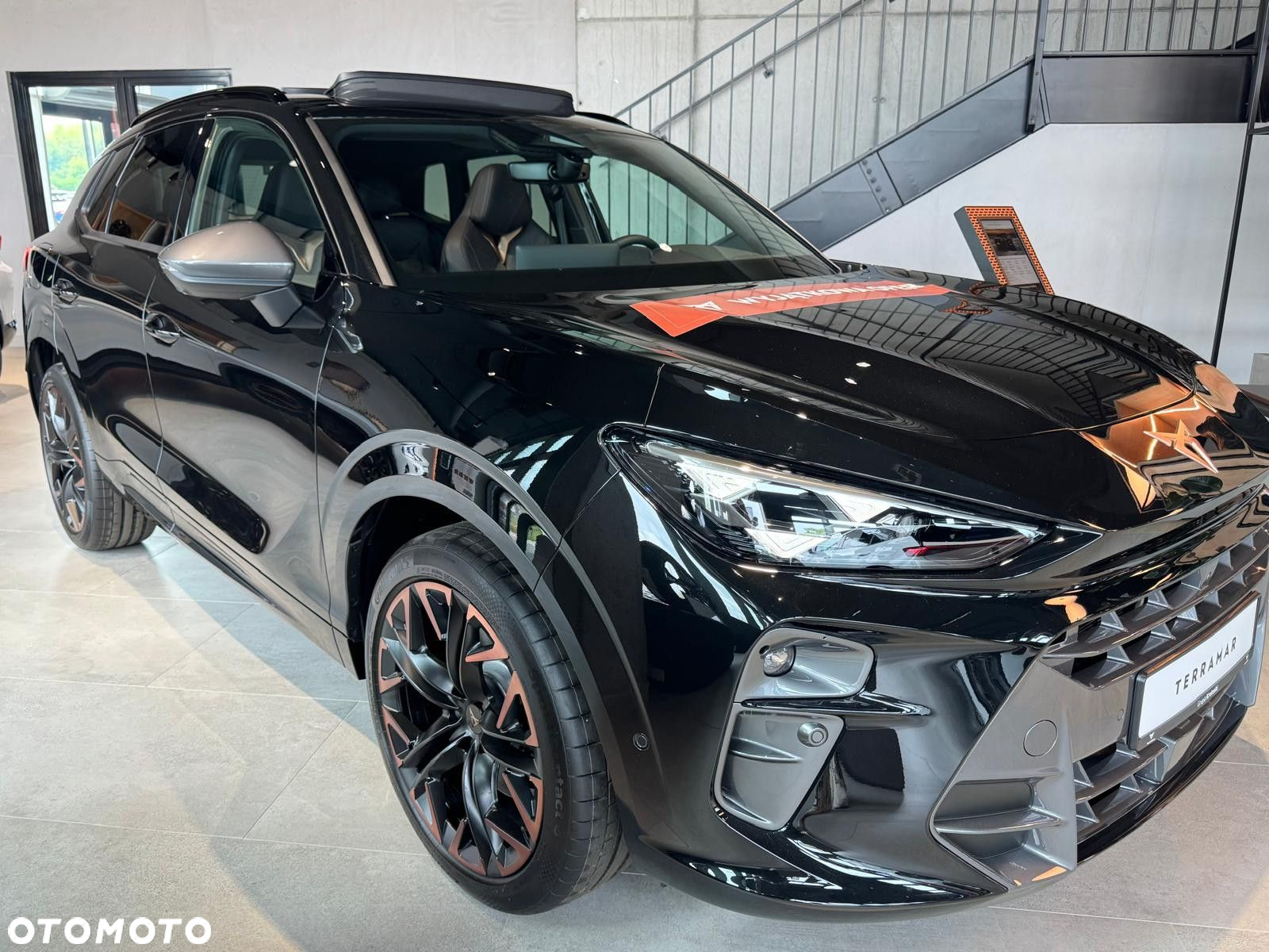 Cupra Terramar - 2