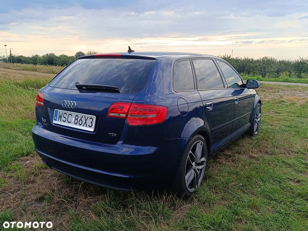 Audi A3 Sportback 1.6 TDI DPF Ambition - 13