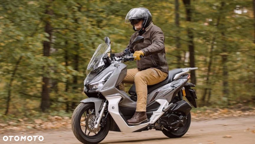 Barton X-Trail - 2