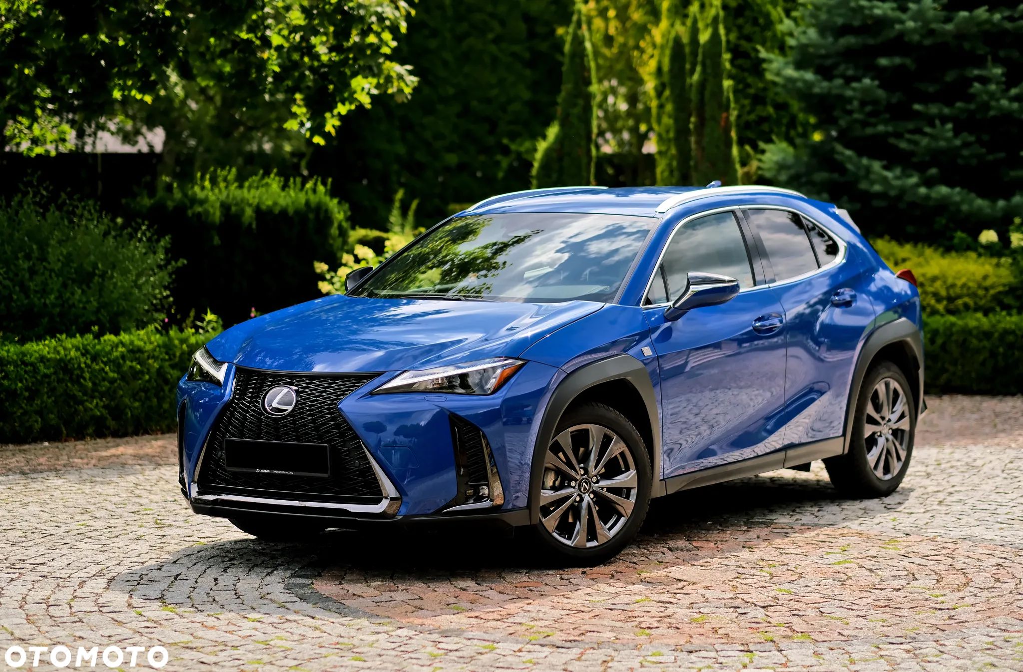 Lexus UX - 1