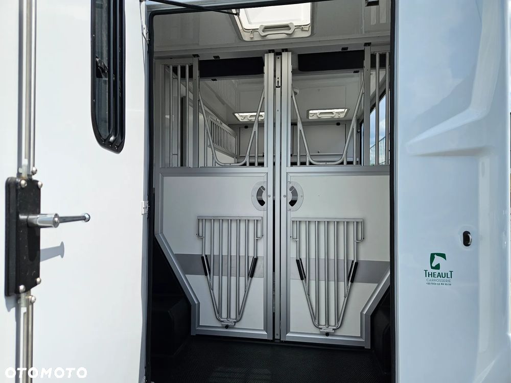 Renault Master koniowóz 170 KM automat - 13