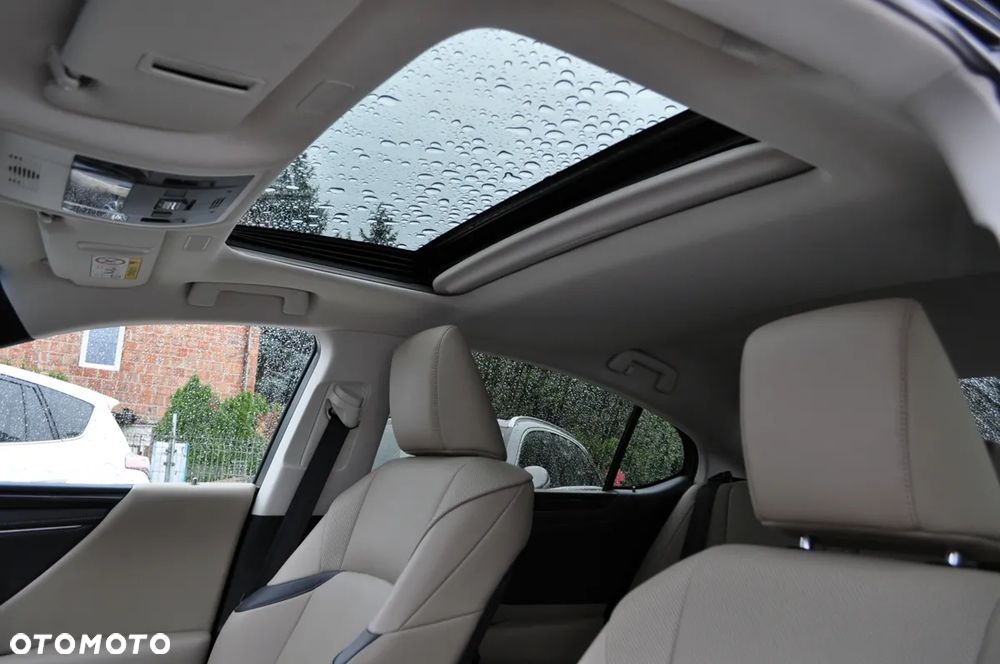 Lexus ES 300h Business Edition + - 20