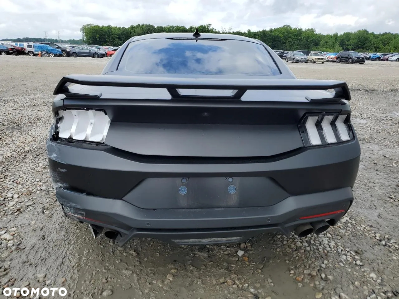 Ford Mustang - 6