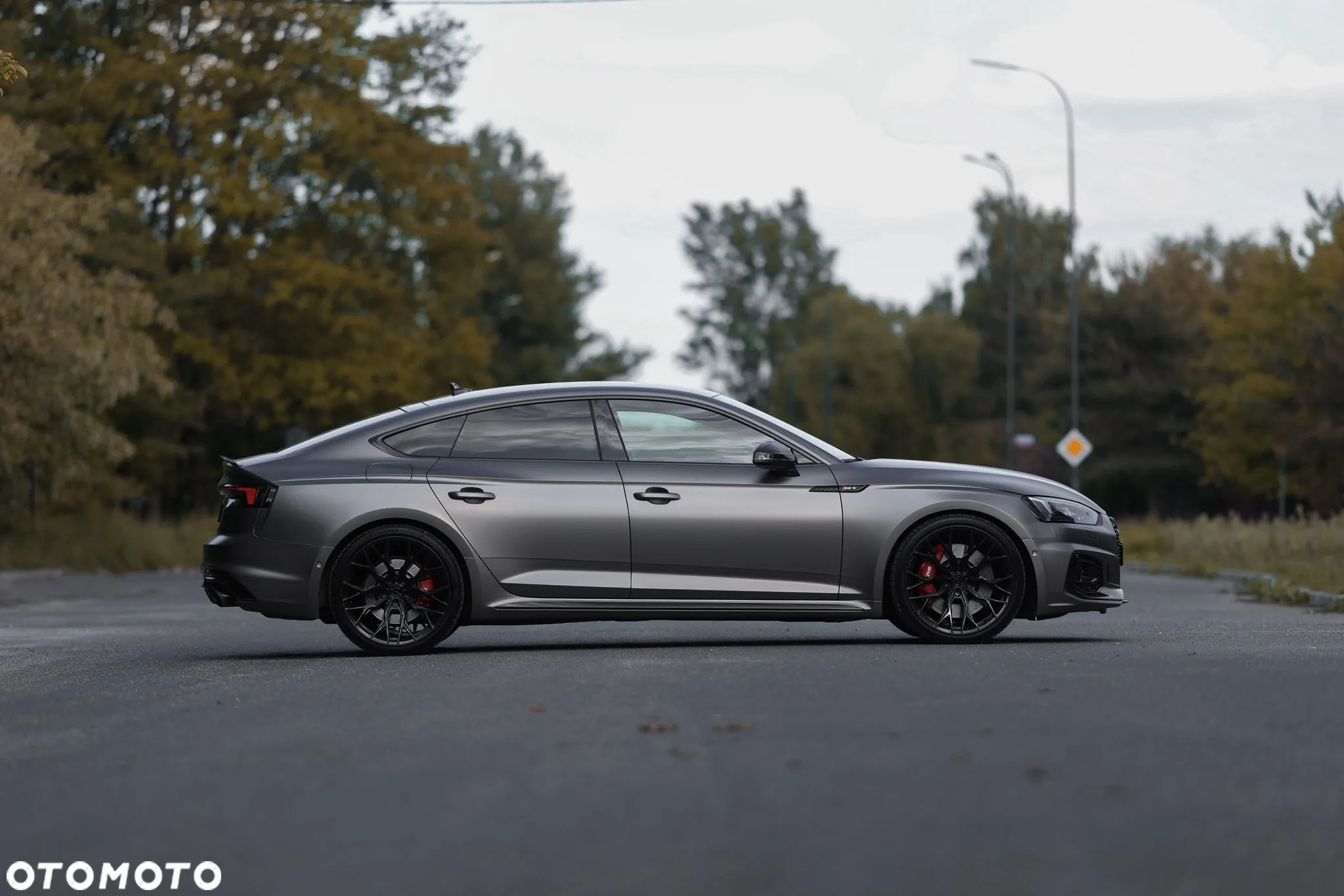 Audi RS5 2.9 TFSI Quattro Tiptronic - 15