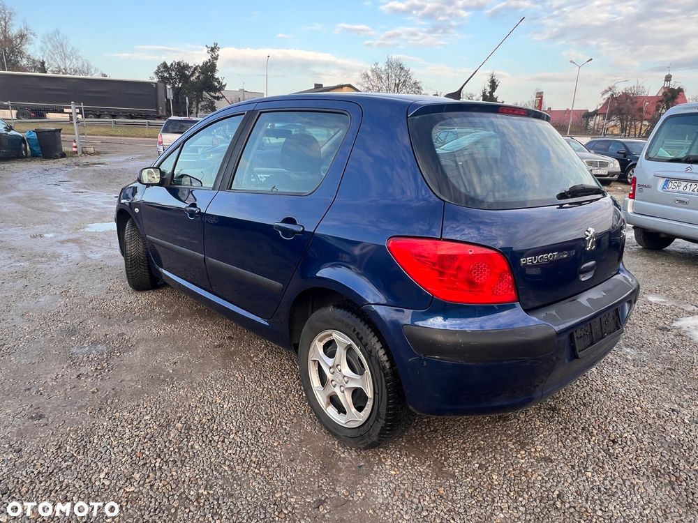 Peugeot 307 - 5