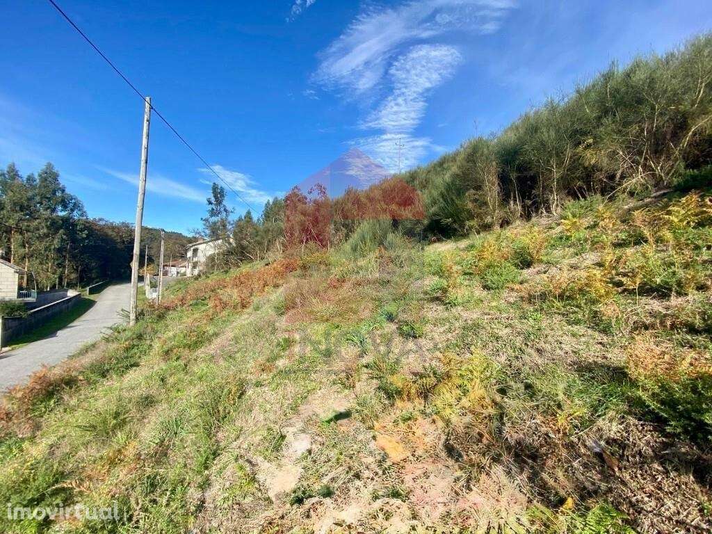Terreno localizado em zona agrícola, Duas Igrejas - Grande imagem: 4/30