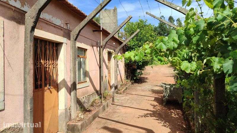 Casa Rústica para Reconstrução - Grande imagem: 3/7