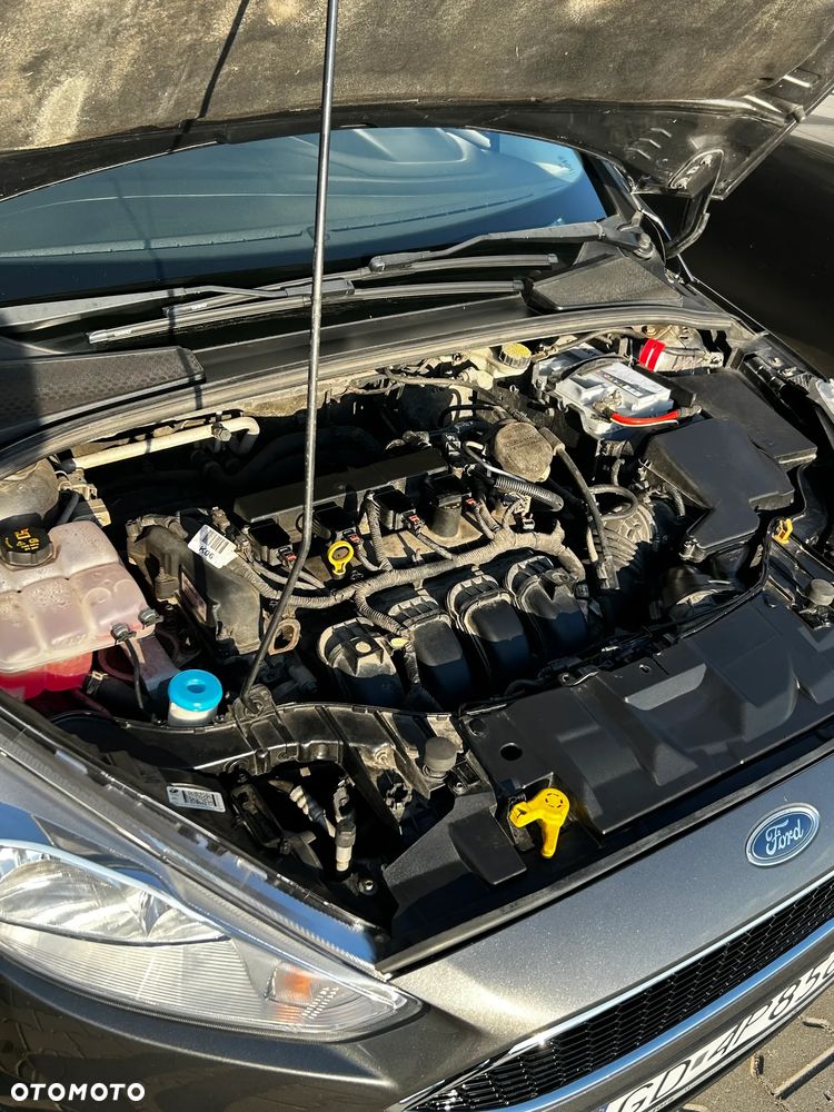 Ford Focus - 18