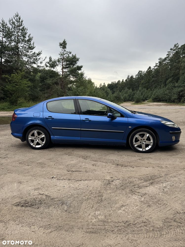 Peugeot 407 - 3