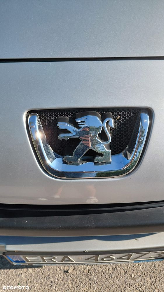 Peugeot 1007 - 23
