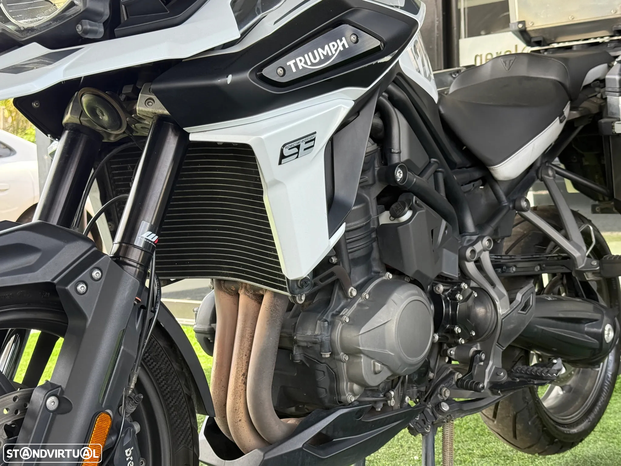 Triumph Tiger 1200 ALPINE EDITION - 13