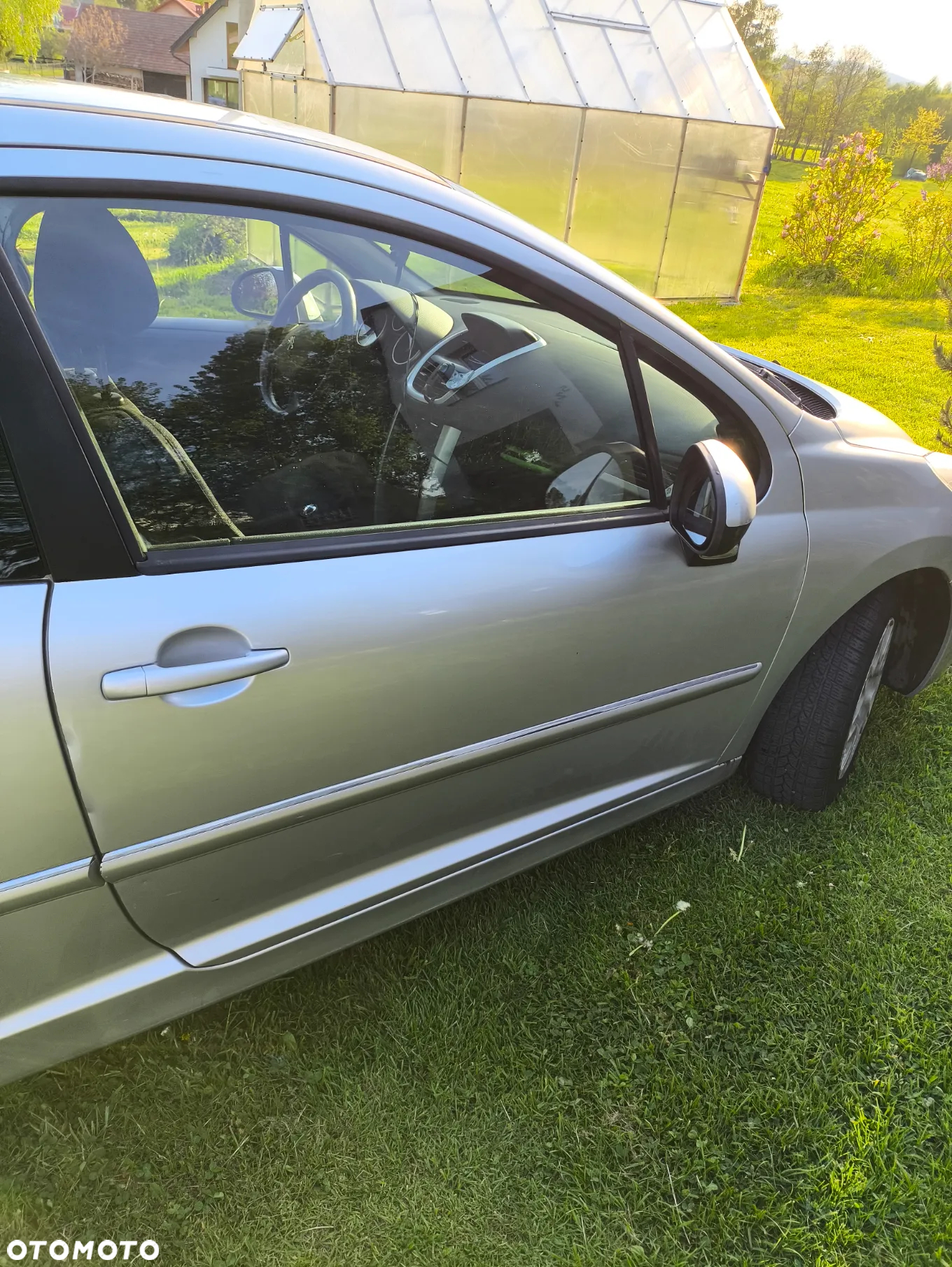 Peugeot 207 - 6
