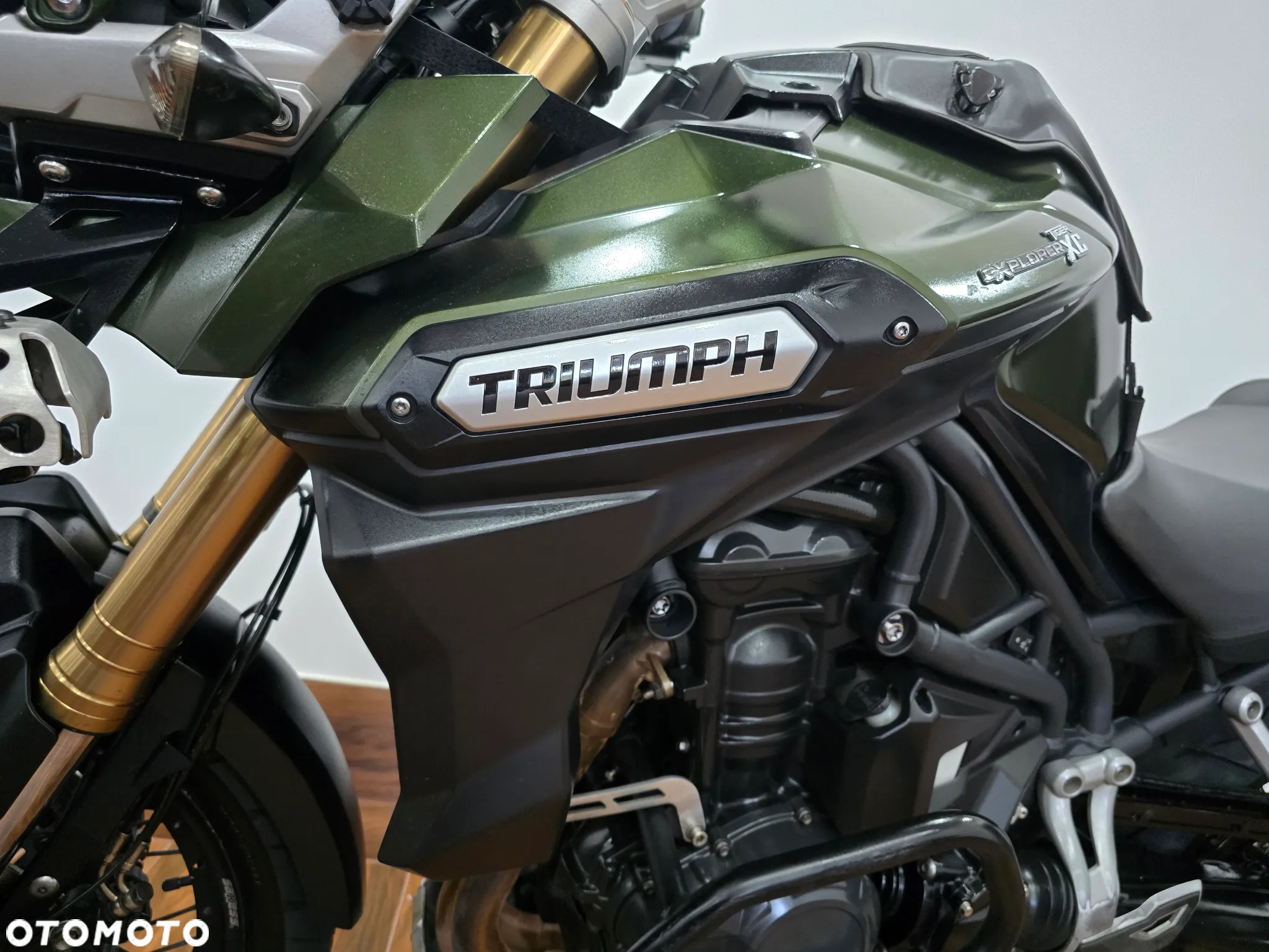 Triumph Tiger - 38