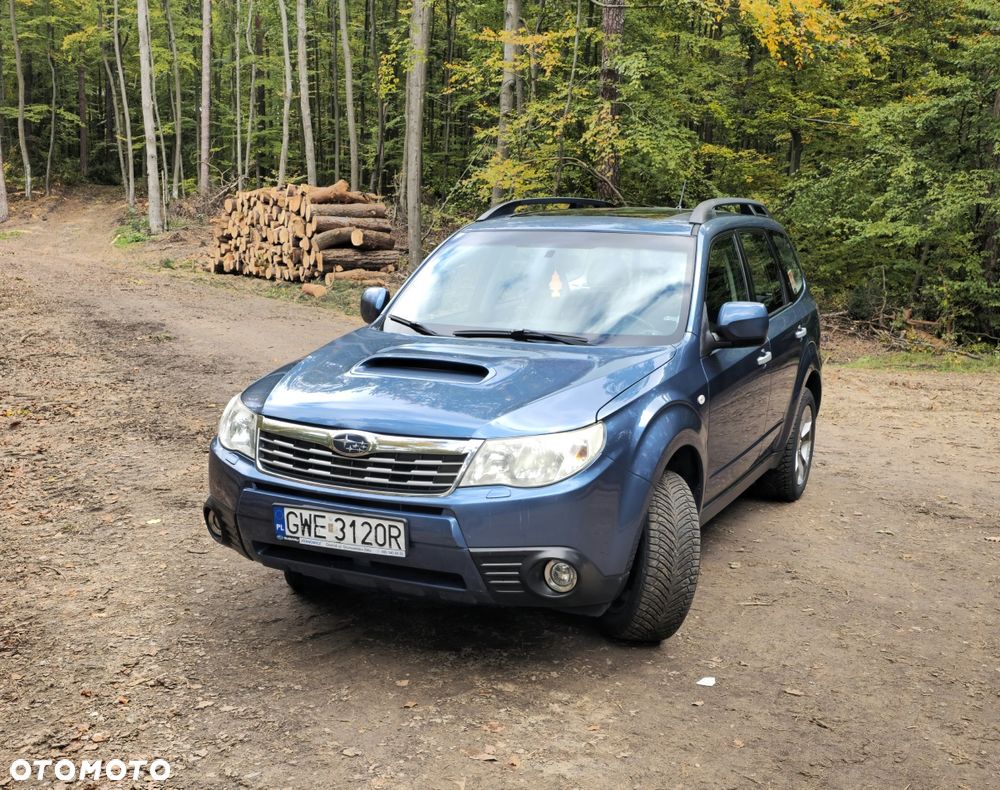 Subaru Forester - 8