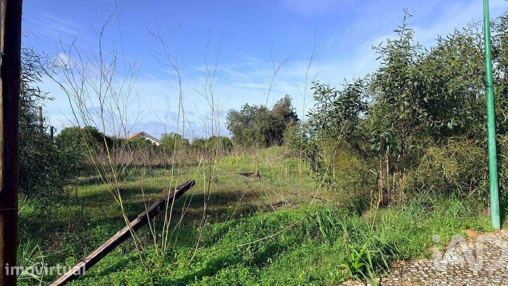 Terreno para construção em Alcantarilha e Pêra - Grande imagem: 5/21
