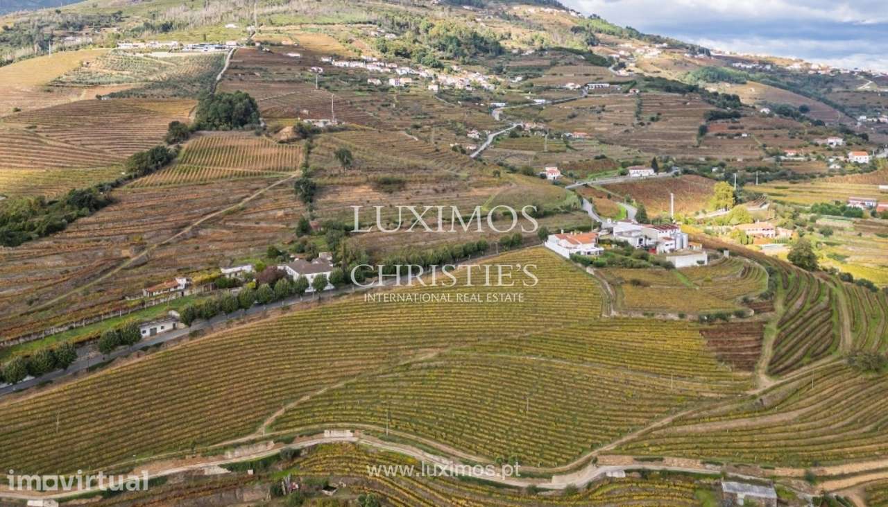 Quinta vinícola à venda em Mesão Frio na Região Demarcada, Douro V - Grande imagem: 5/25