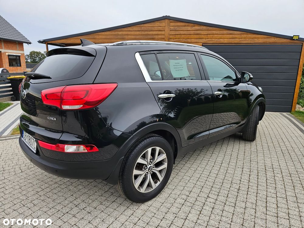 Kia Sportage - 25