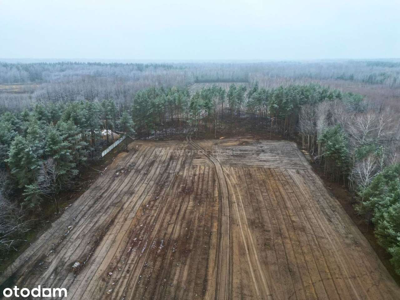 Top lokalizacja S17 4,7 ha pod centrum logistyczne - Pełny obrazek: 4/11