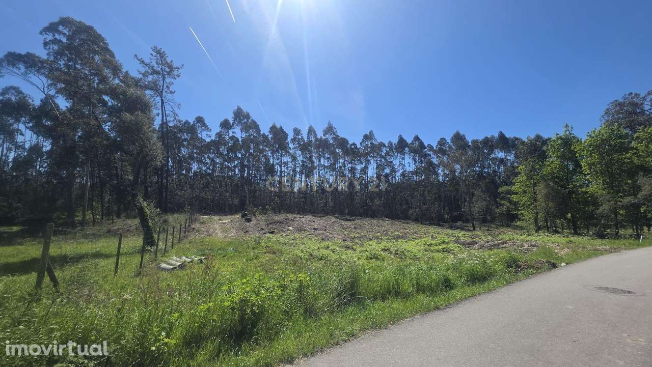 Terreno Rústico em Santa Joana - Aveiro - Grande imagem: 3/12