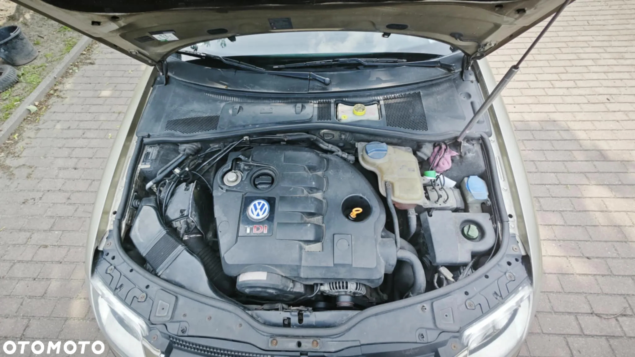 Volkswagen Passat - 11