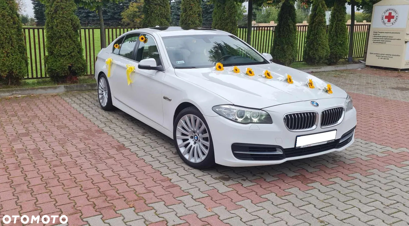 BMW Seria 5 528i - 3