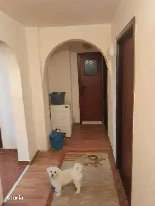 Apartament 4 Camere Otopeni | Ultracentral | Parter | Floare de Cais - Imagine principală: 2/7