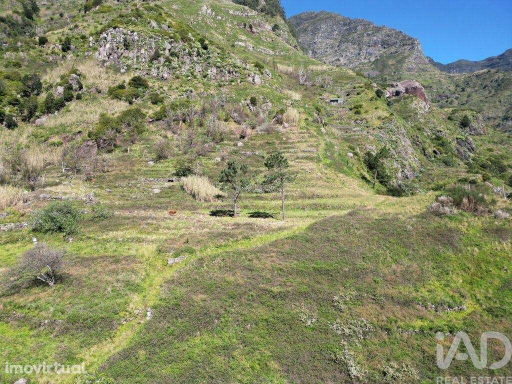 Terreno em Serra de Água de 400,00 m2 - Grande imagem: 4/10