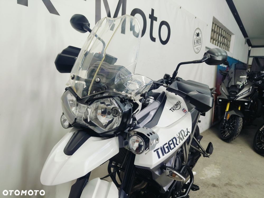 Triumph Tiger - 21