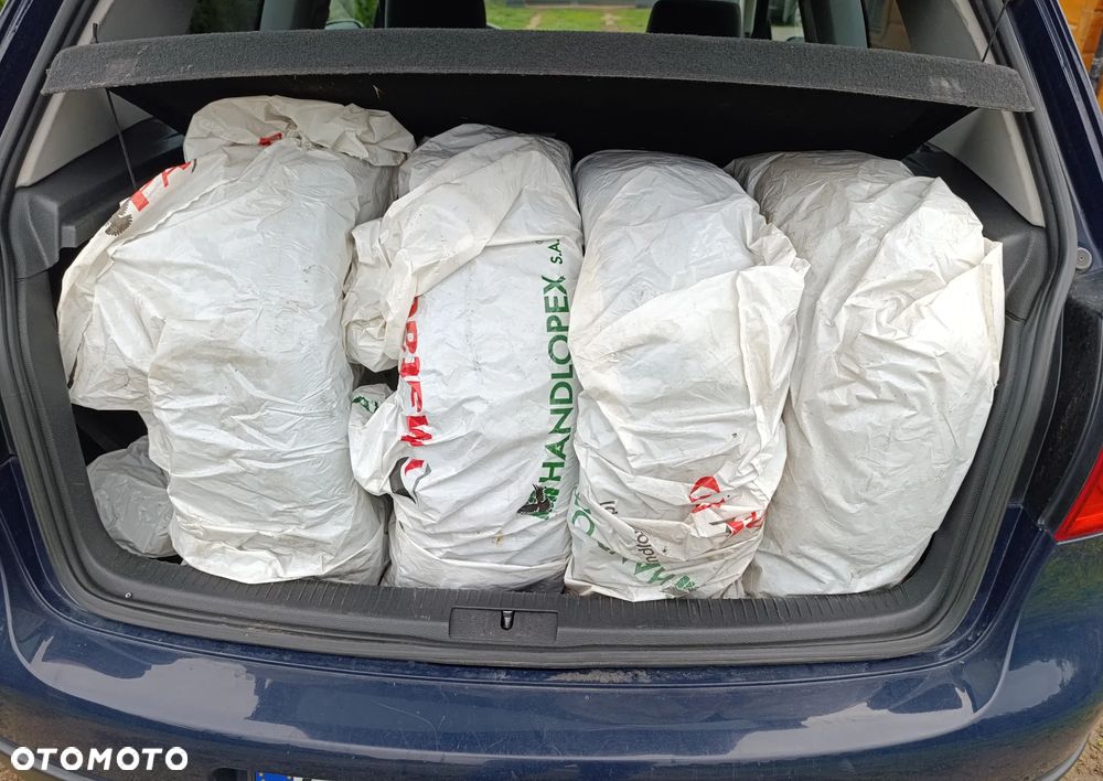 Volkswagen Golf IV 1.4 Basis - 5