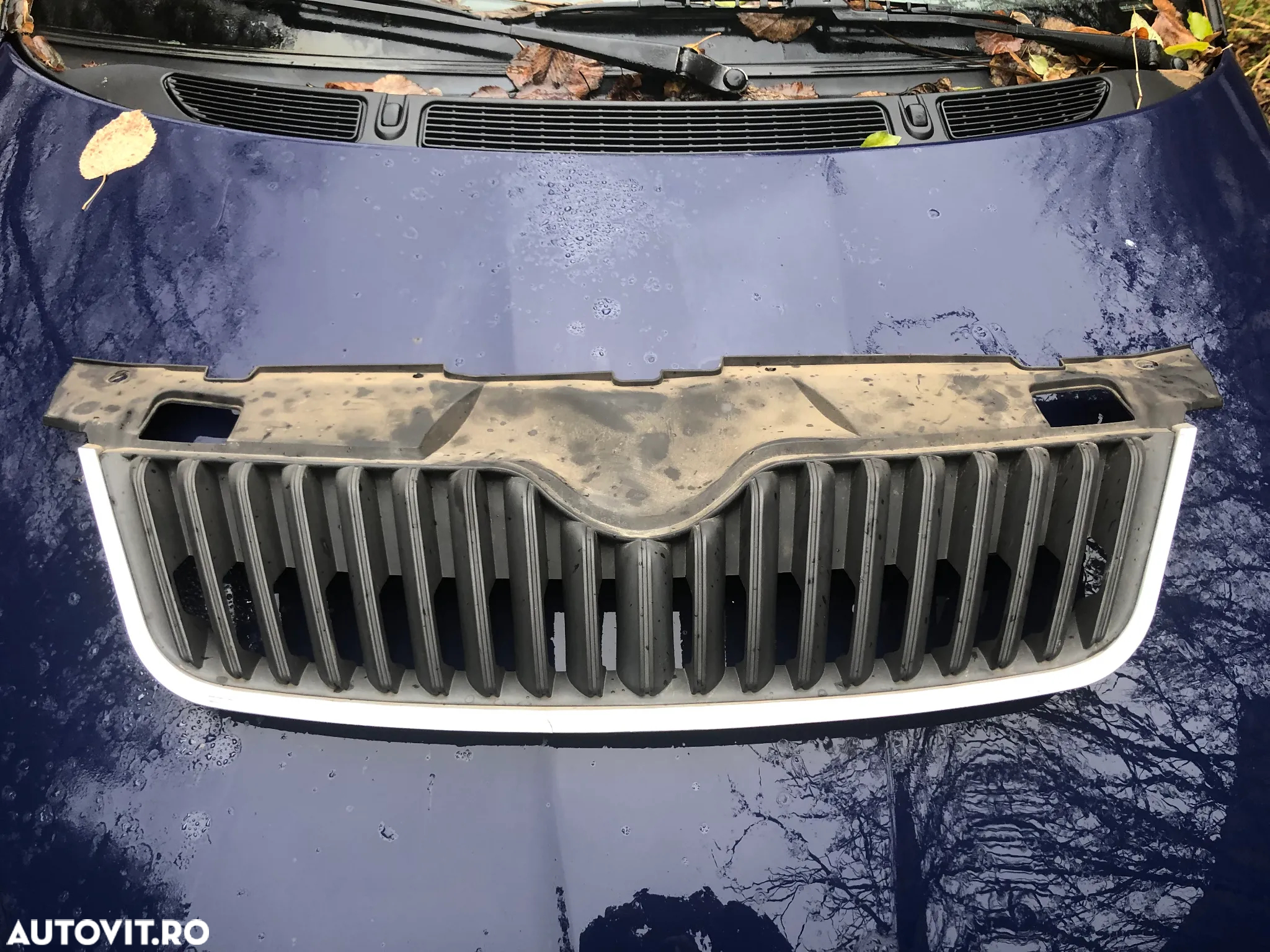 Grila centrala bara fata Skoda Fabia 2 facelift 2011 - 5