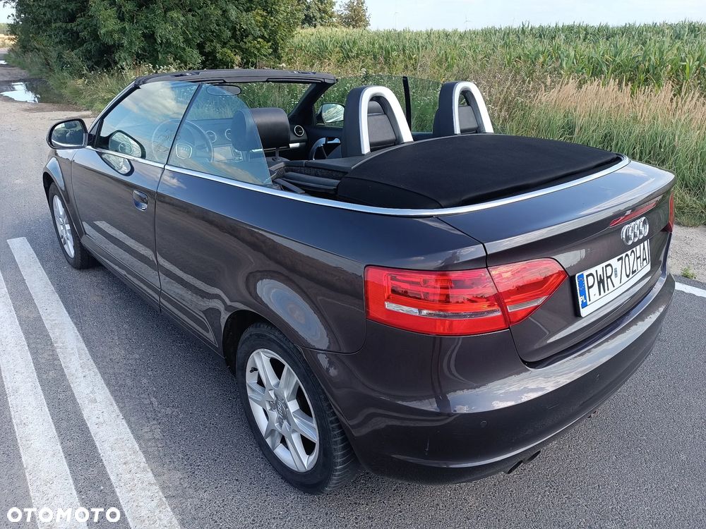 Audi A3 Cabrio 1.9 TDI DPF Ambition - 8