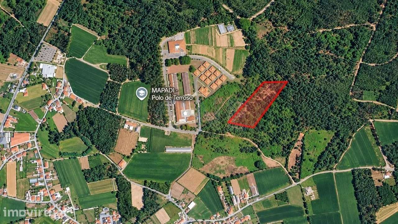 Bouça em Terroso com 4661 m2 - Grande imagem: 3/5