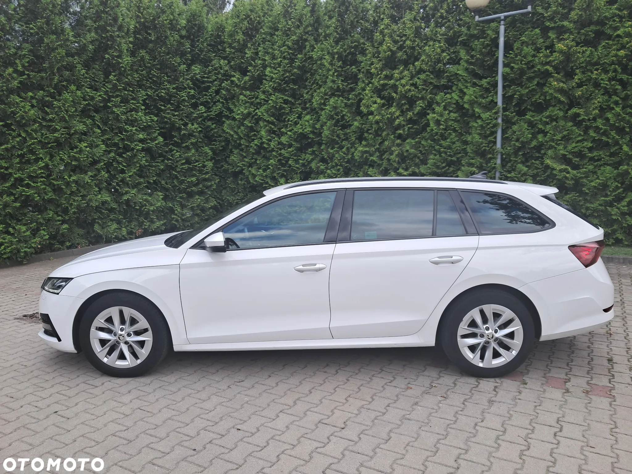 Skoda Octavia 2.0 TDI Ambition DSG - 12