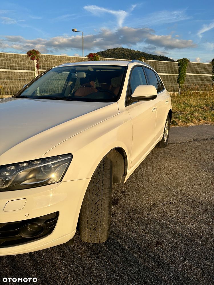 Audi Q5 2009 photo 3