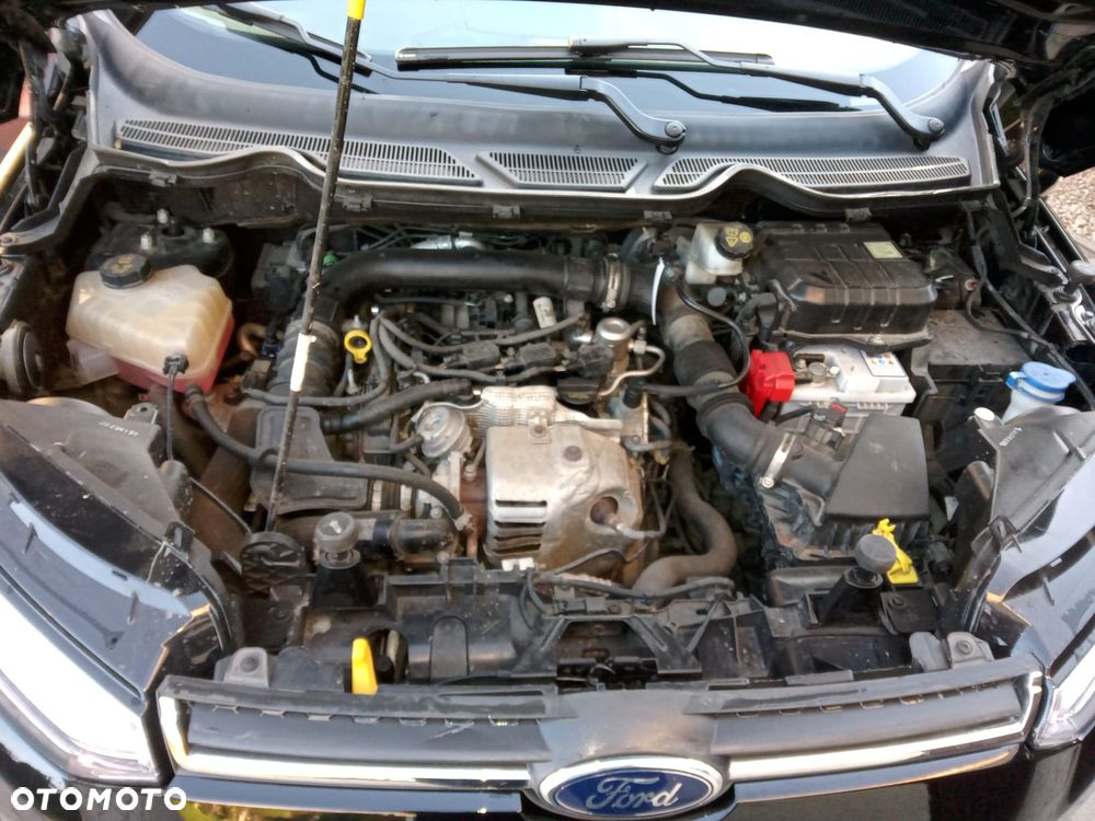 Ford EcoSport - 13