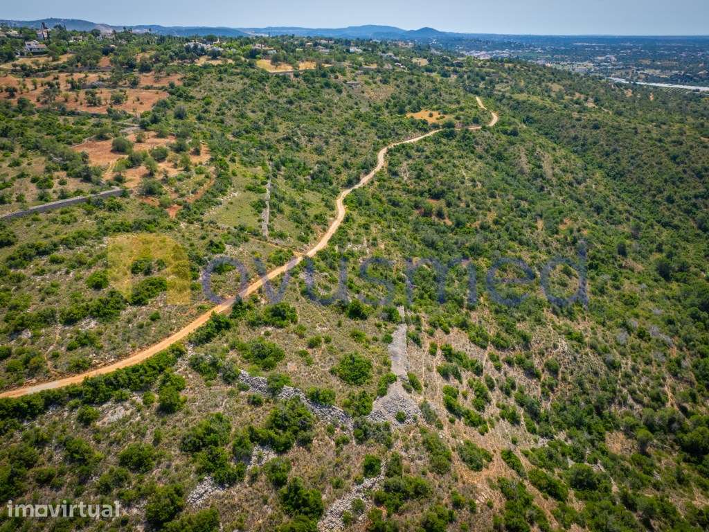 Terreno Rústico com 6000m2 com Vista Panorâmica sobre o Campo e o M... - Grande imagem: 2/24